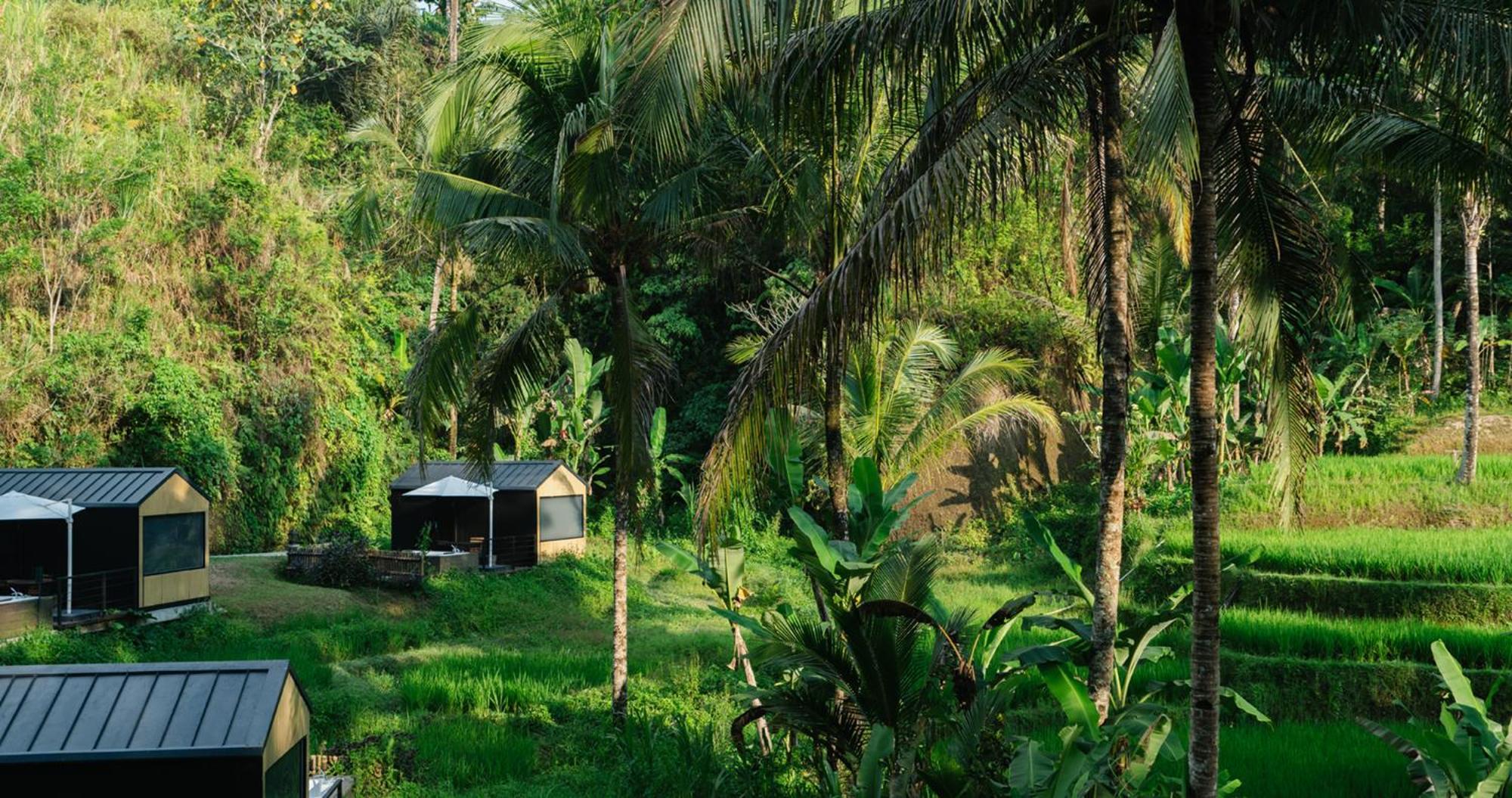 Bobocabin Ubud, Bali Kültér fotó